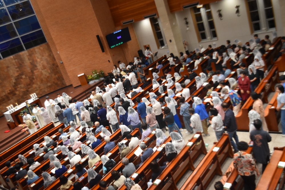 1000-DSC_1649.JPG