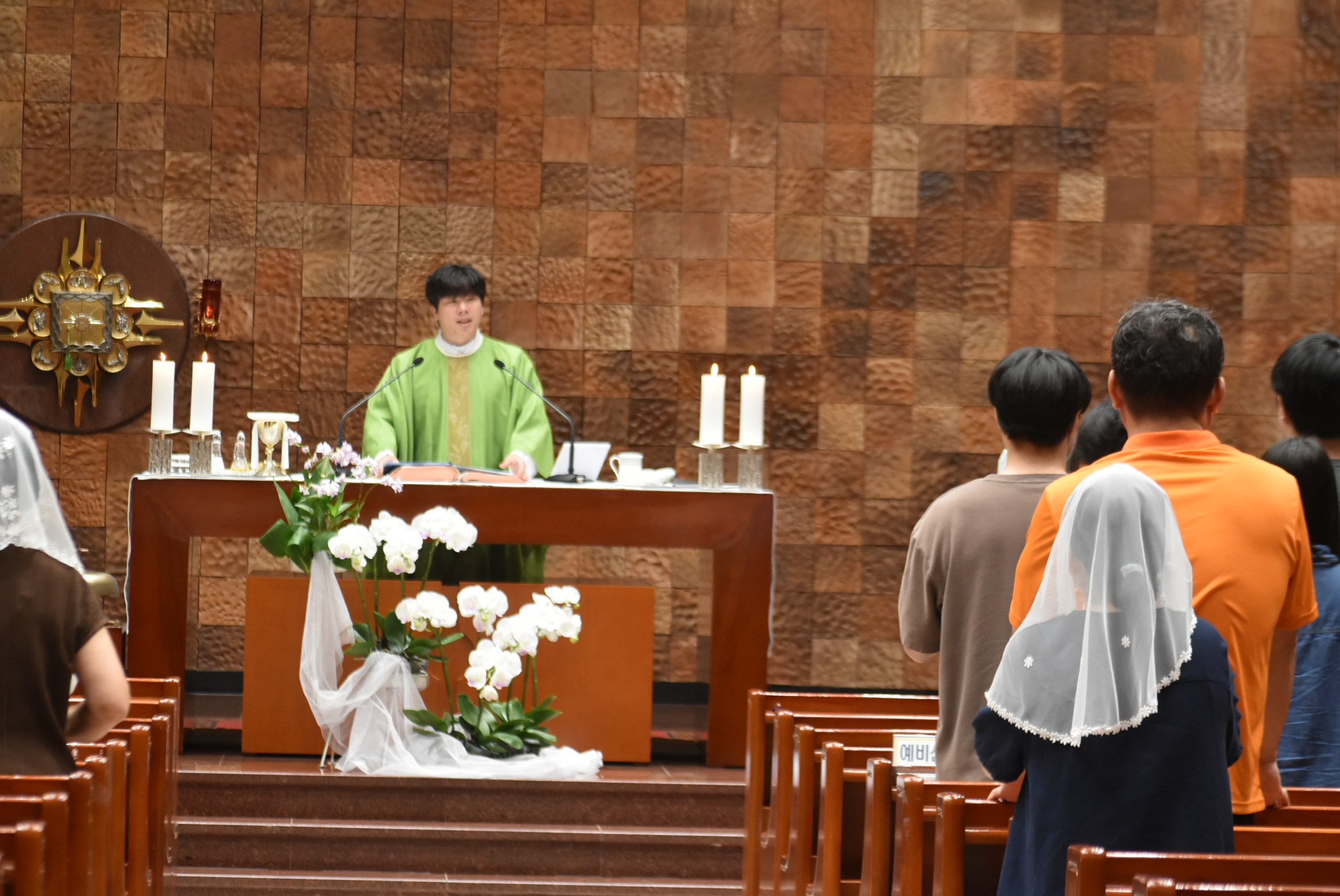 1000-DSC_3770.JPG