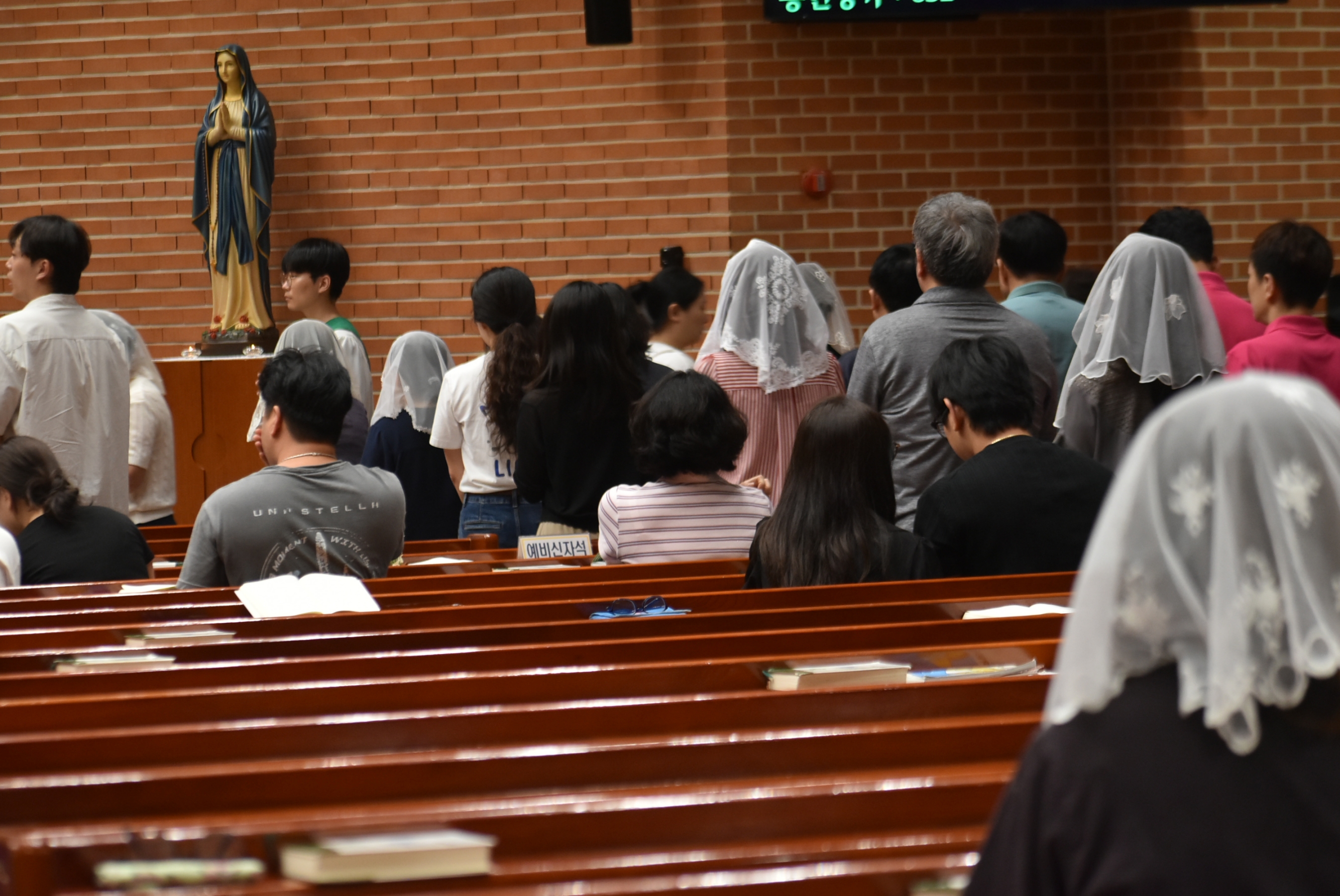 1000-DSC_3775.JPG