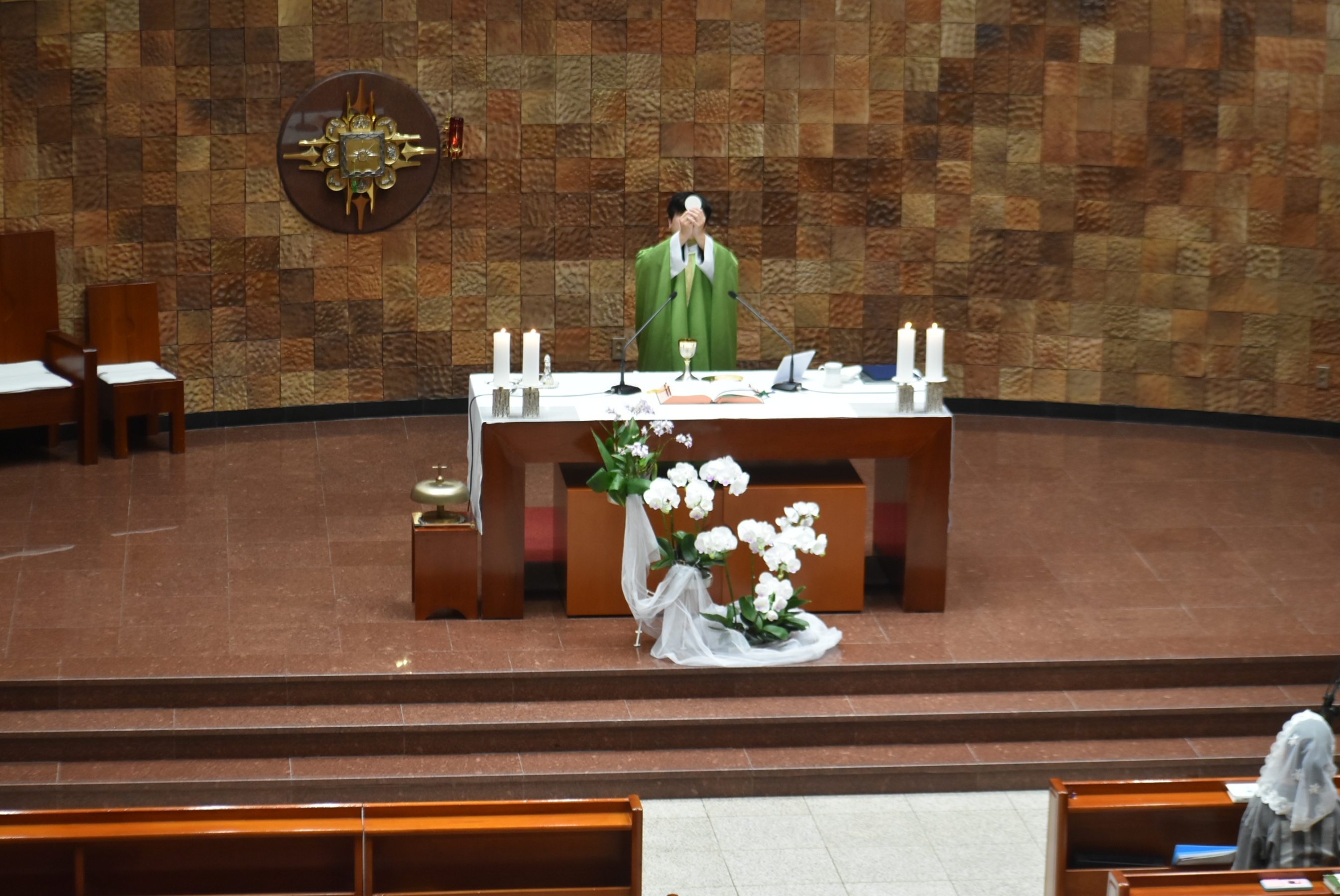1000-DSC_3776.JPG