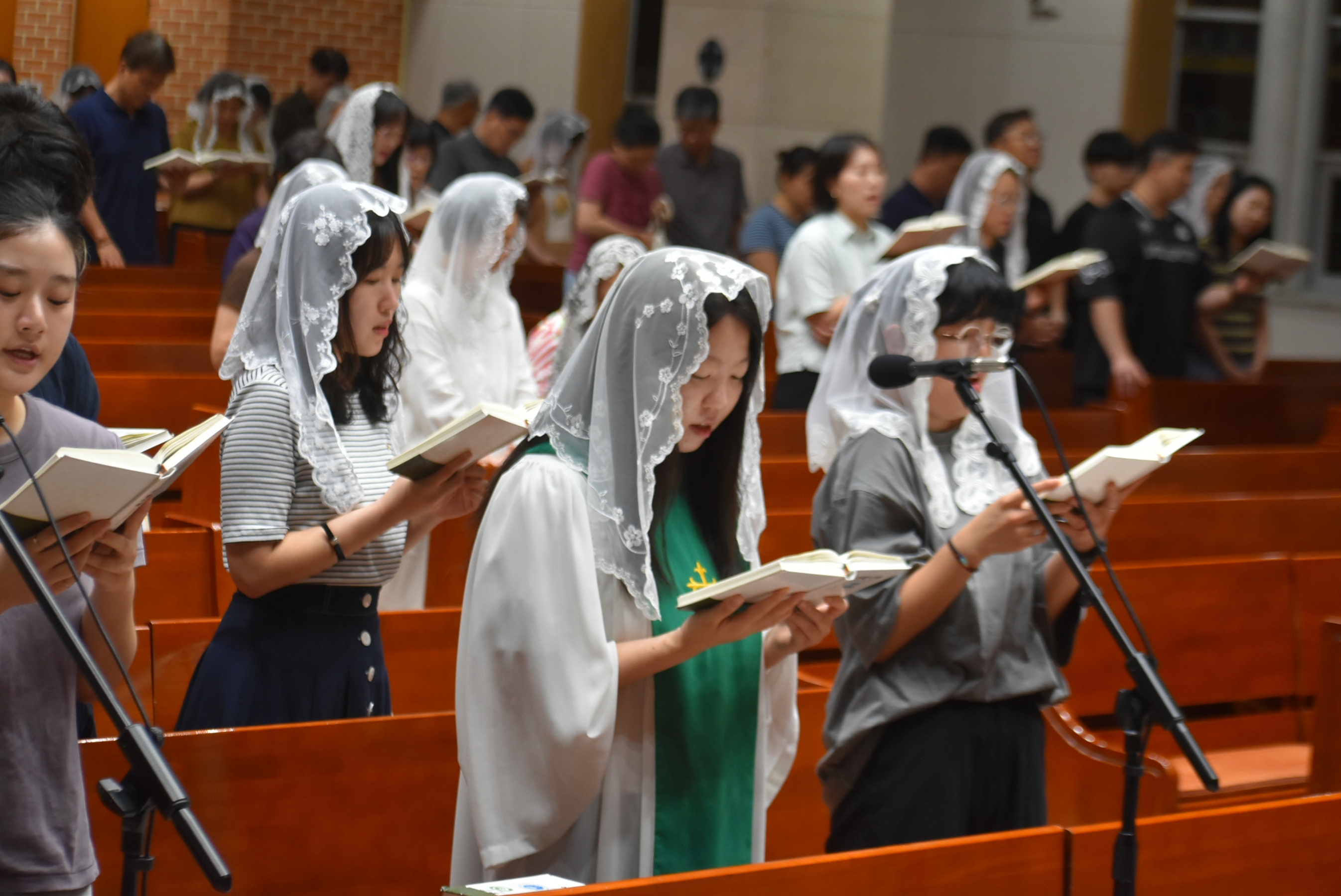 1000-DSC_3797.JPG