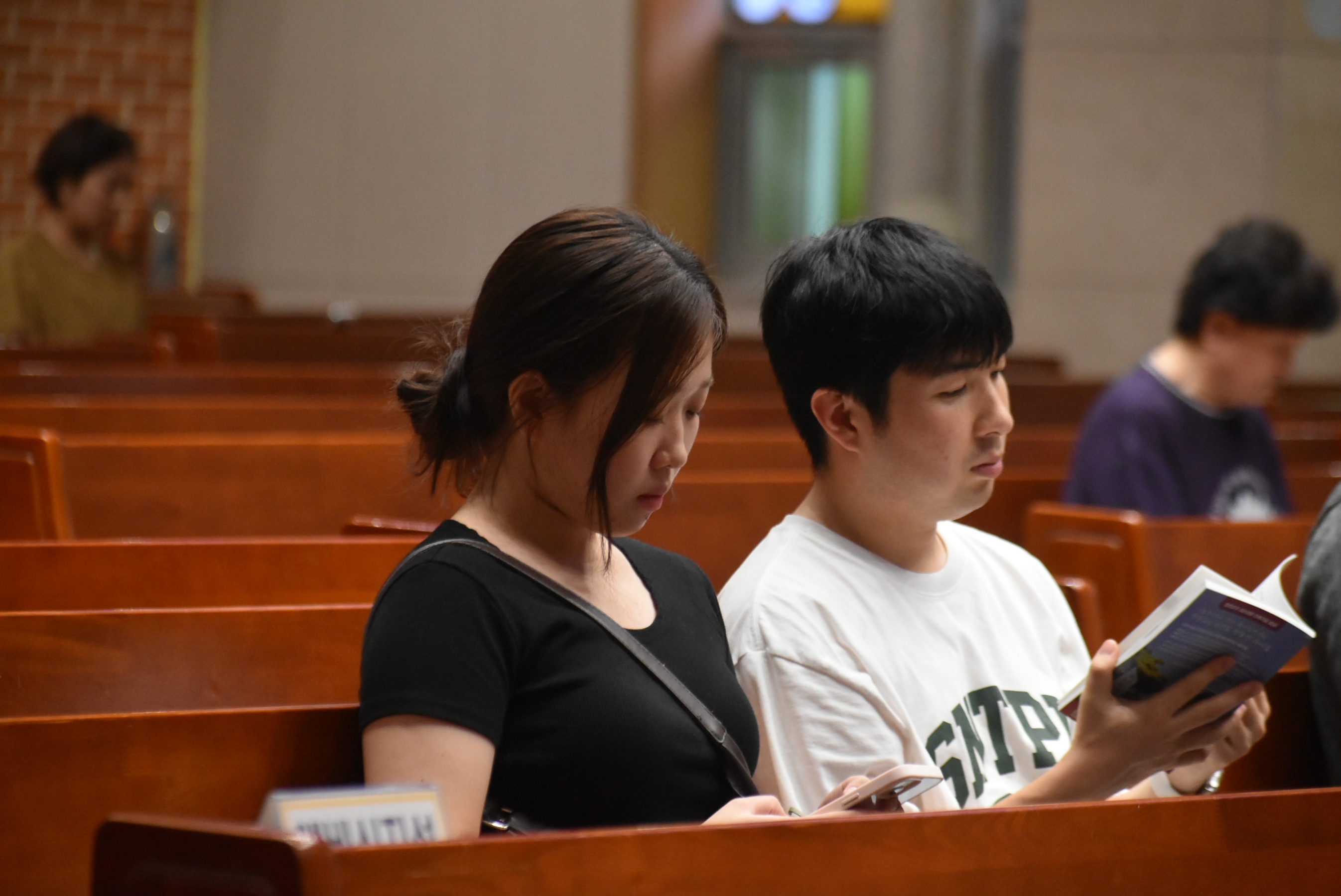 1000-DSC_3727.JPG