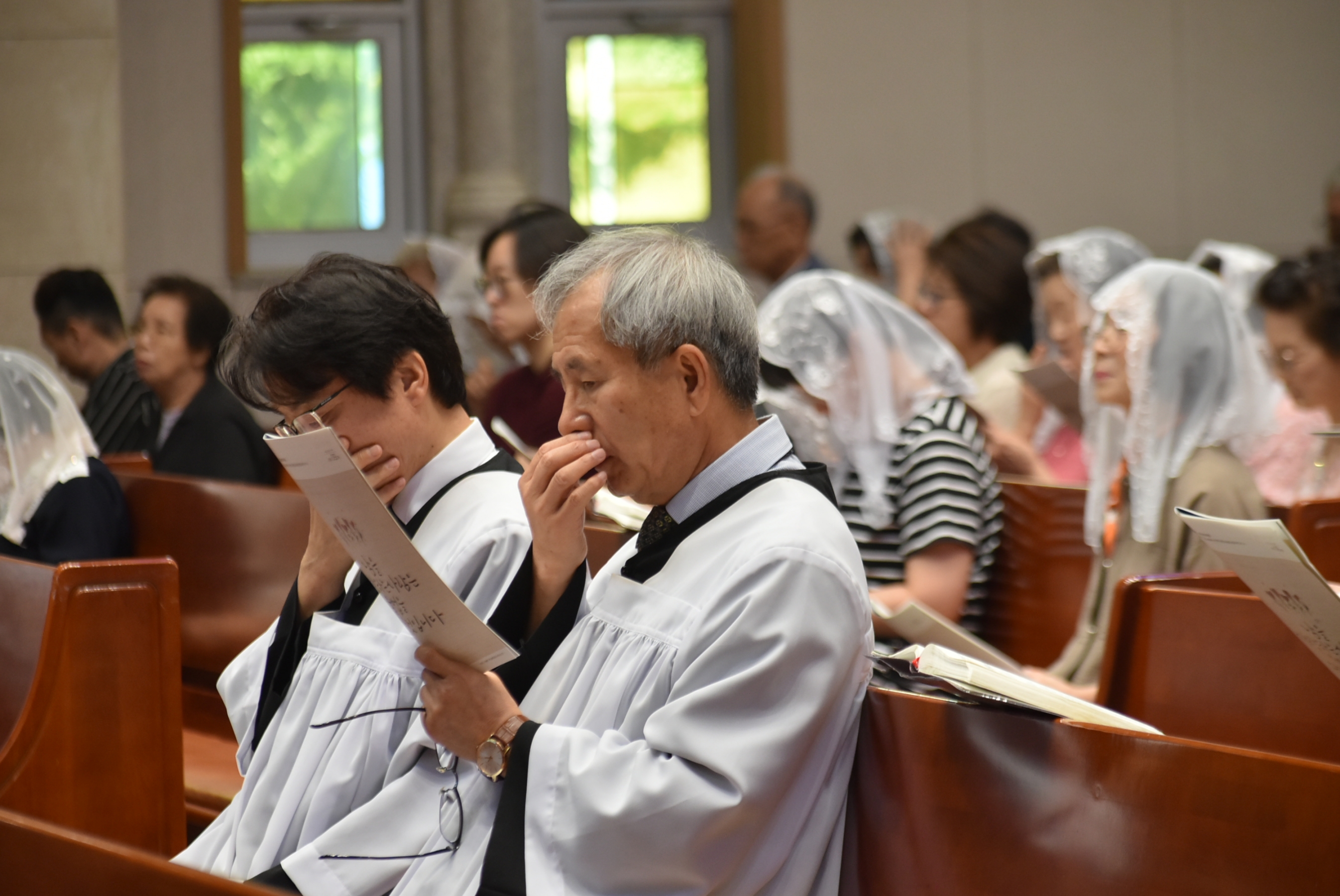 1000-DSC_3972.JPG